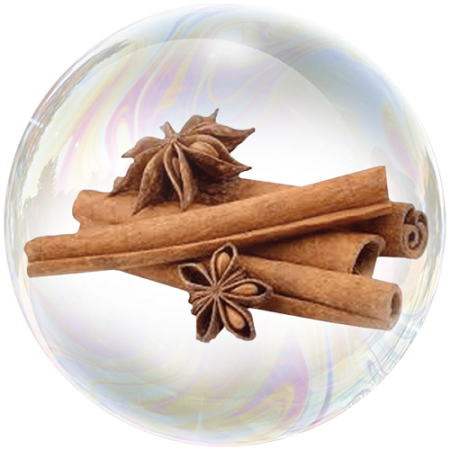 Cinnamon bark (Cinnamomum verum)