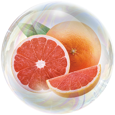 Grapefruit (Citrus × paradisi)