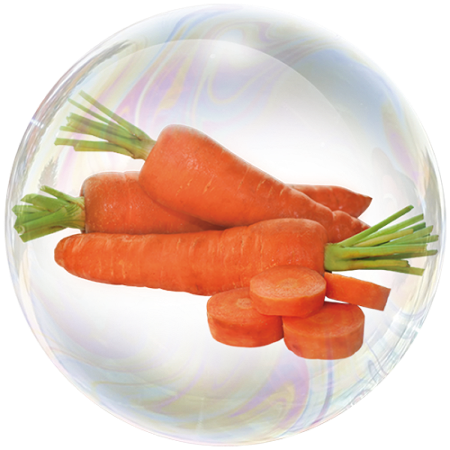Carrot (Daucus carota)